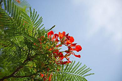 育碧曾想为《刺客信条：影》打造一个重甲忍者